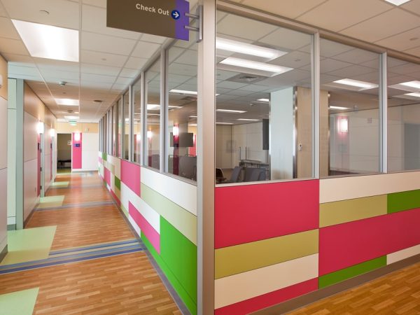 CHCO-HC-project -min