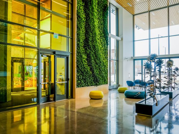 CSUSPURCAMPUS_N6332 copy