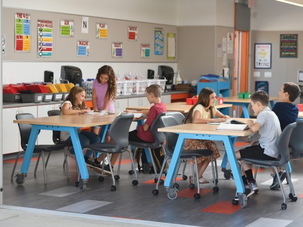 52025 Smith System Cobranded Slate Catalog