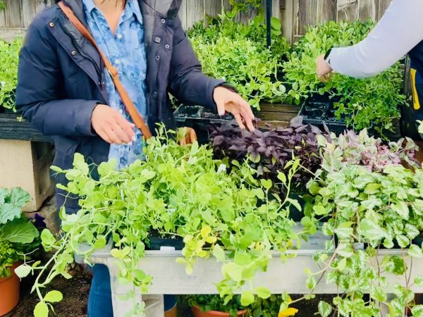 Beautify-BlakeIMG_0864