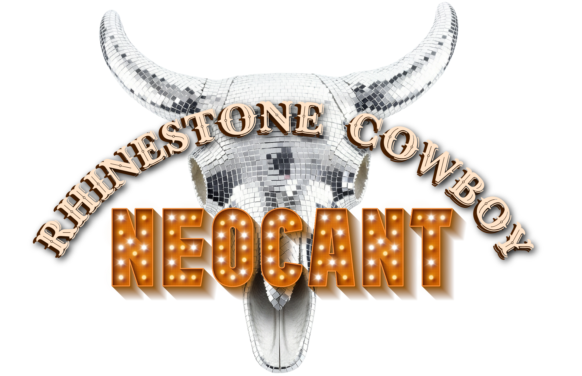 Rhinestone-Cowboy-Skull-Type